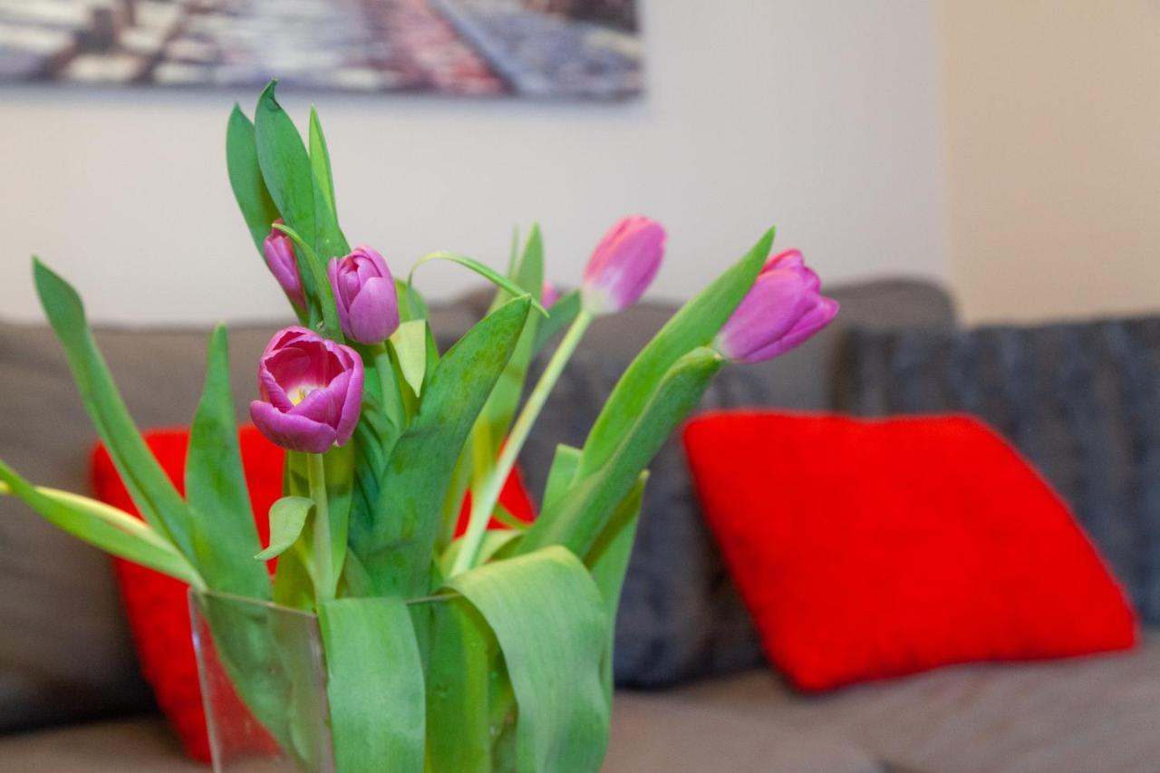 Apartament Blanki Apartment Малборк Екстериор снимка